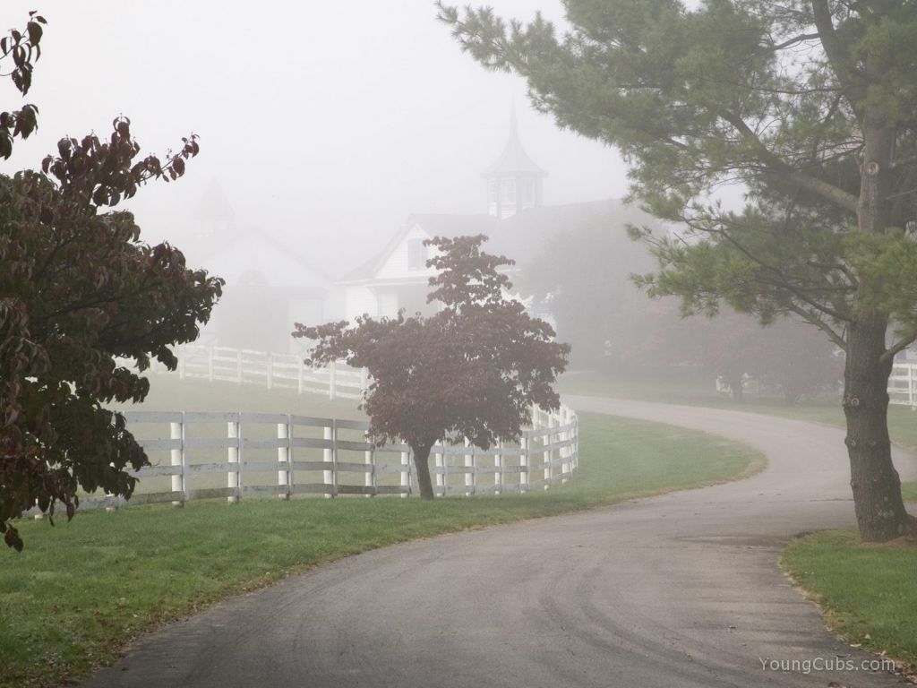 Manchester Horse Farm on a Foggy Morning, Lexington, Kentucky